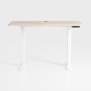 YDN Electric Standing Desk Adjustable Height