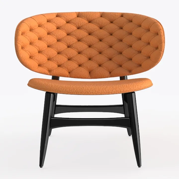 Dining Chairs Set of 2,Mid-Century Modern