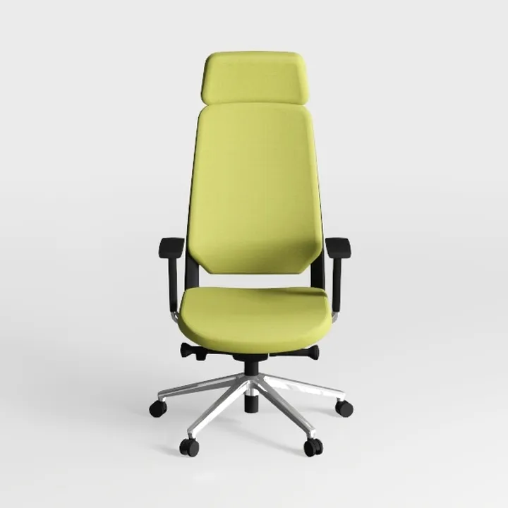 Ergonomic Mesh Office Chair with Lumbar Support