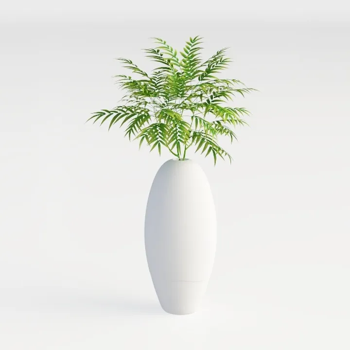 plant-Clothing Store