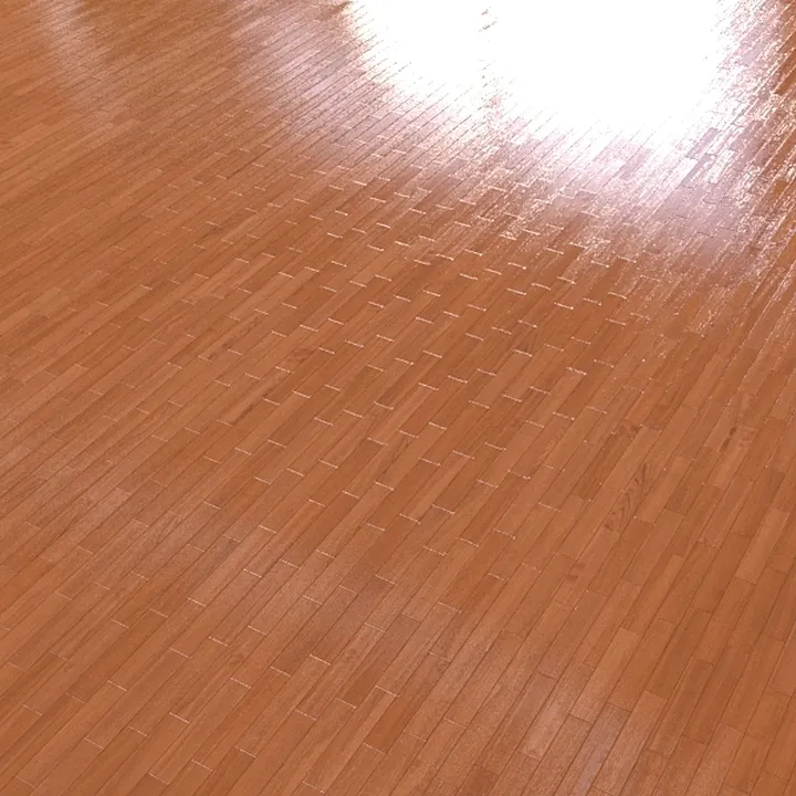 Composite Floor/High Gloss 54