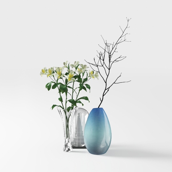 plant-Beginner Guide