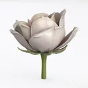 null Left 45 Degree View