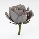 null Right 45 Degree View