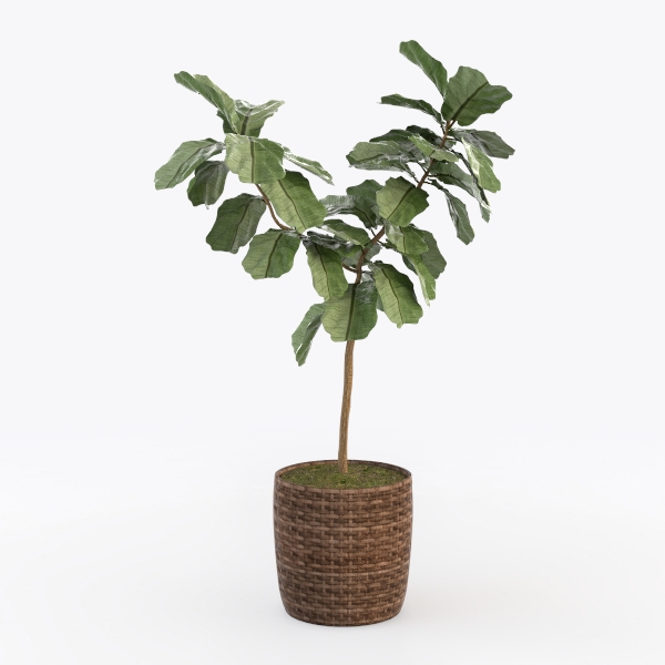 MyGift 6-Inch Shiny Brass Tone Metal Plant Pot