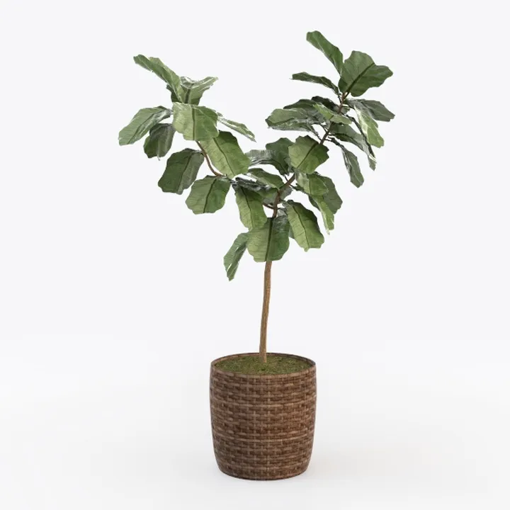 MyGift 6-Inch Shiny Brass Tone Metal Plant Pot