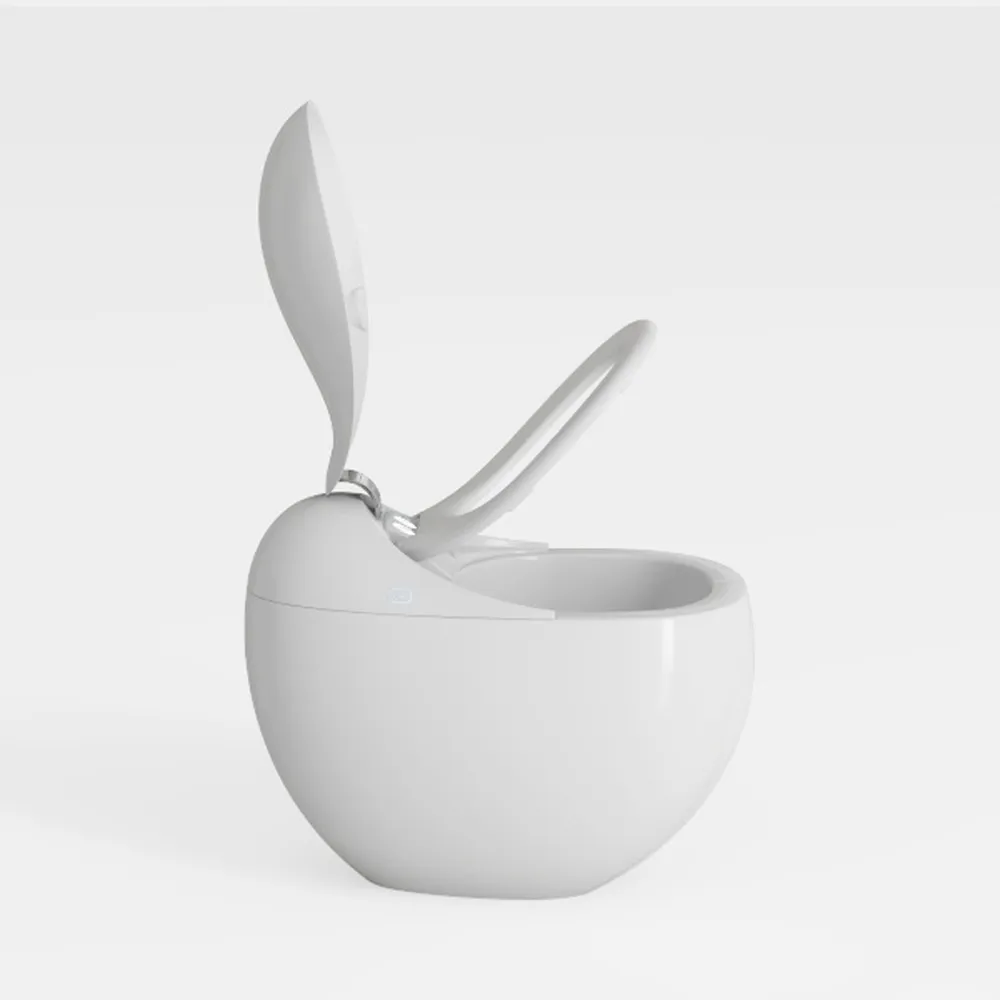 One Piece Bathroom Comfort Height Tankless Egg