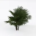 null Left 45 Degree View