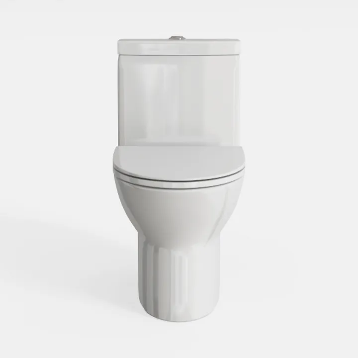 Minimalist White Ceramic One Piece Toilet 3D Model