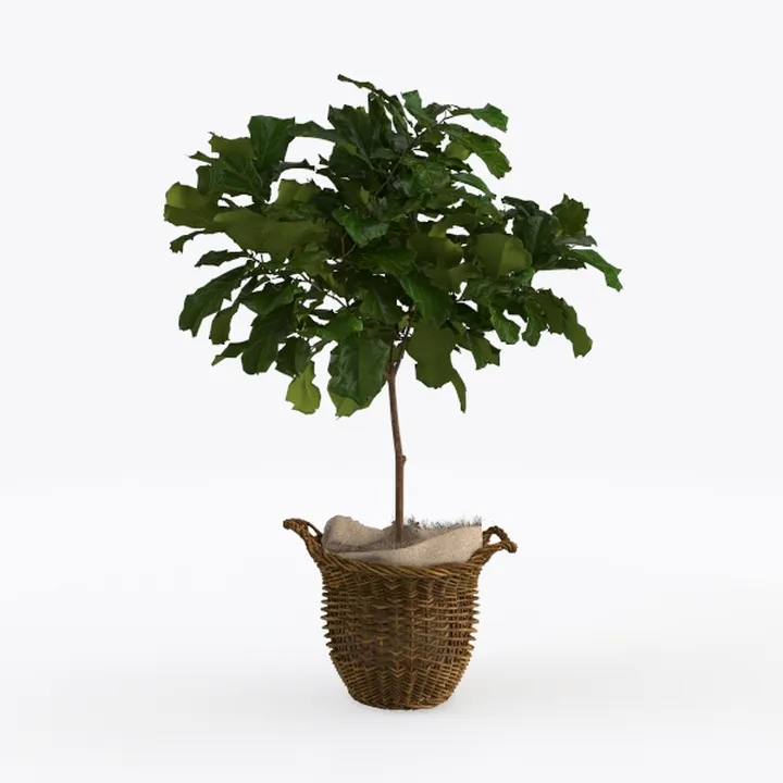 Nearly Natural 5043 4ft. Sago Silk Palm Tree,Green