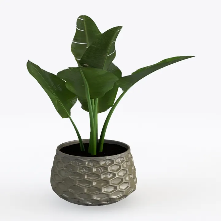Green plant W-44
