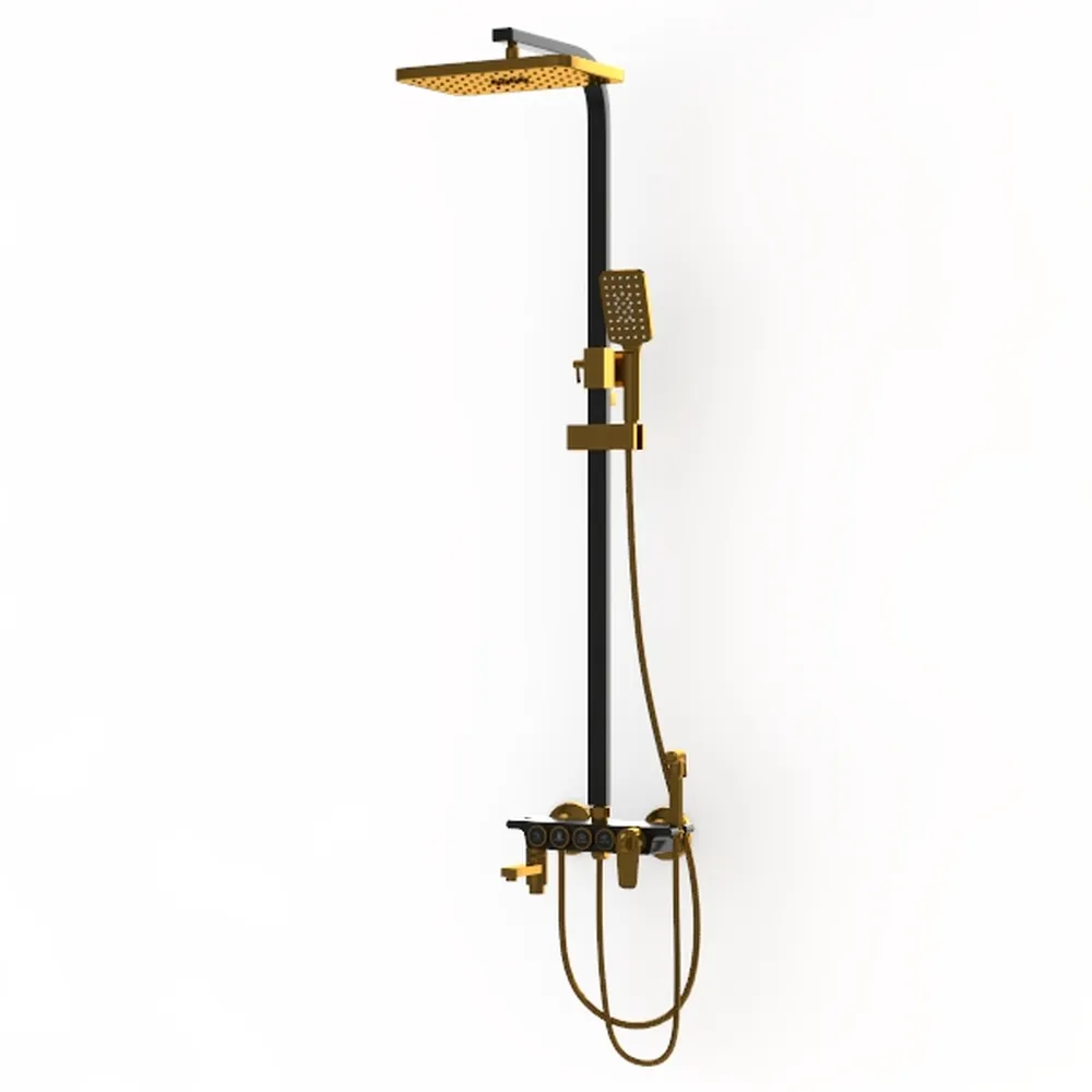 Premier Modern European Style Exposed Pipe Shower