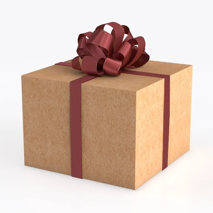Christmas gift