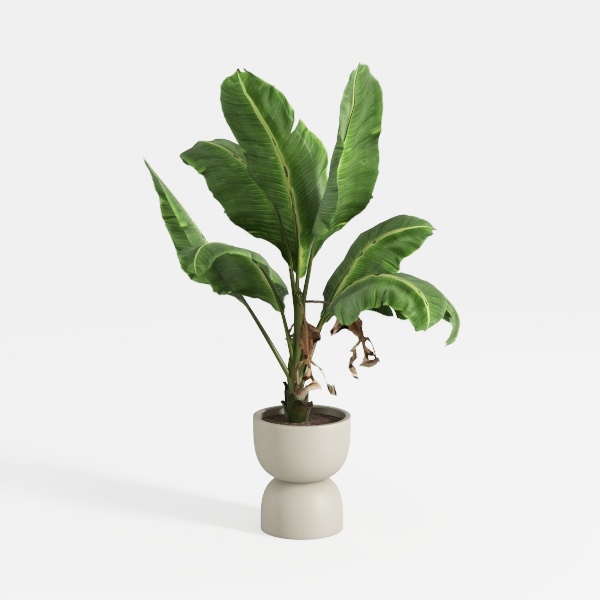 Bird of Paradise Plant Artificial 5ft,Faux Plants