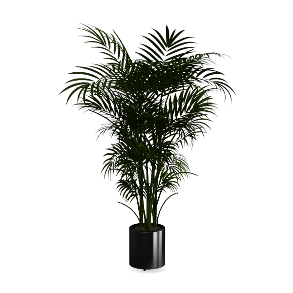 Nearly Natural 5ft. Golden Cane Palm Artificial