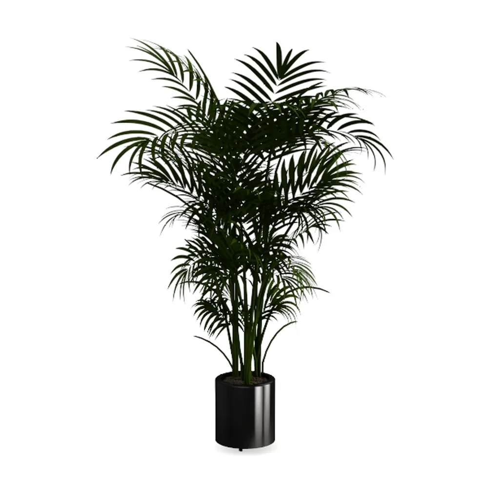 Nearly Natural 5ft. Golden Cane Palm Artificial