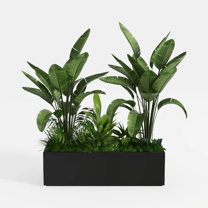 Modern Minimalist Black Rectangular Planter With Tropical Foliage 3D Model