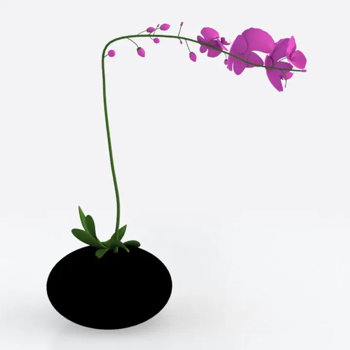 My Shelfie - Pink Bower Flower Vine, Pink Plant 