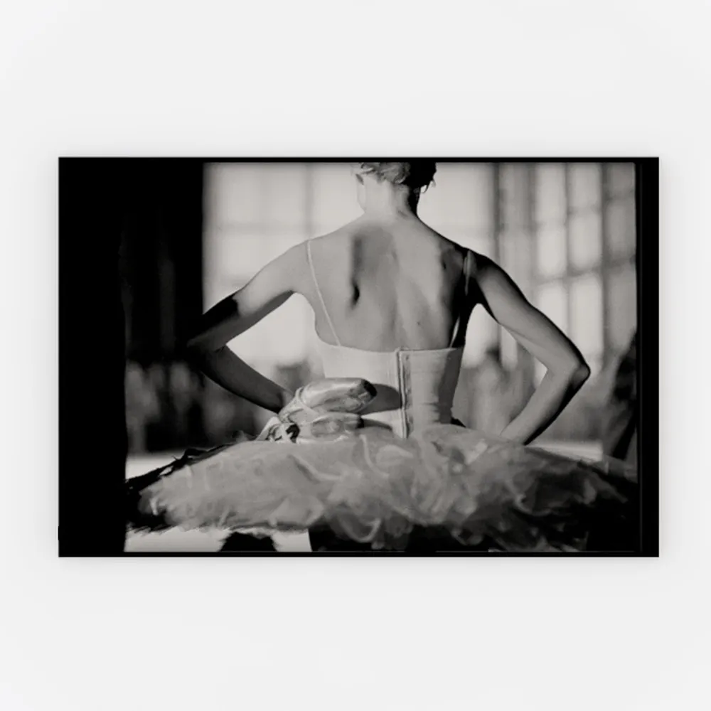 NBAODAN Bird Wall Decor Black and Gold Wall Art