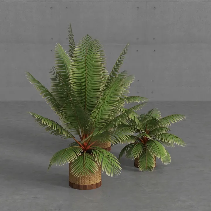 Rattan Woven Tropical Potted Palm Plants 3D Model