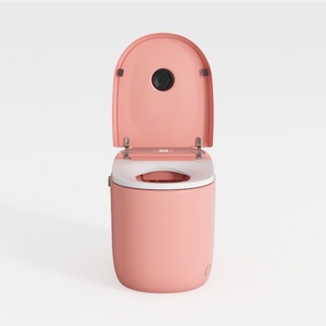 Simple Project Modern One-Piece Egg-Shaped Toilet 