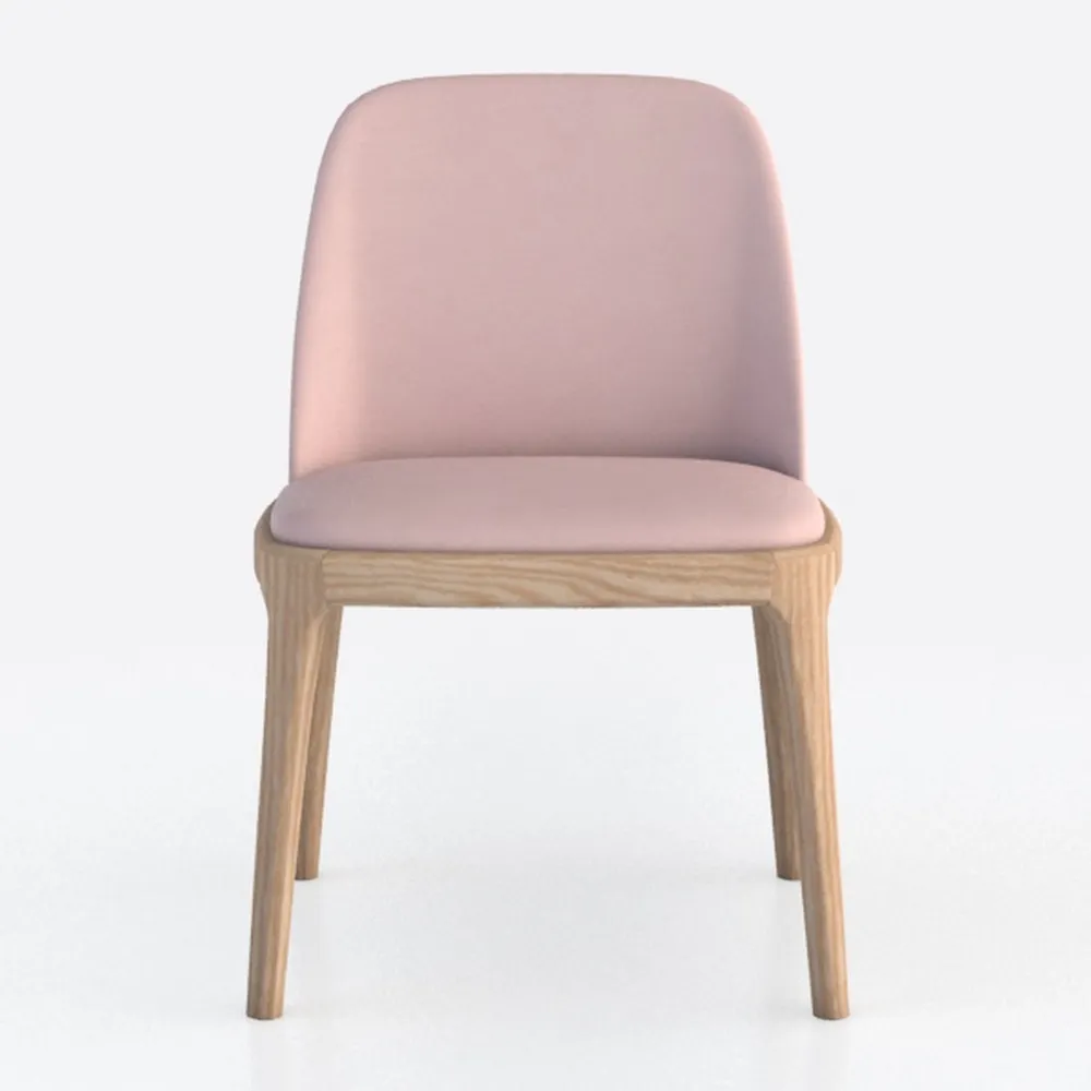 Solid Wood Dining Chair 2 PCS,Home Restaurant