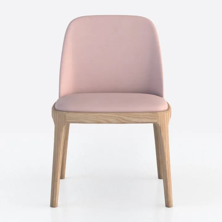 Solid Wood Dining Chair 2 PCS,Home Restaurant