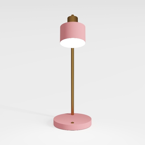 Pink Desk Lamp with Clamp, Rechargeable LED Small 