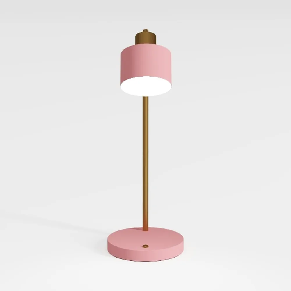 Pink Desk Lamp with Clamp, Rechargeable LED Small 