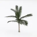 null Left 45 Degree View