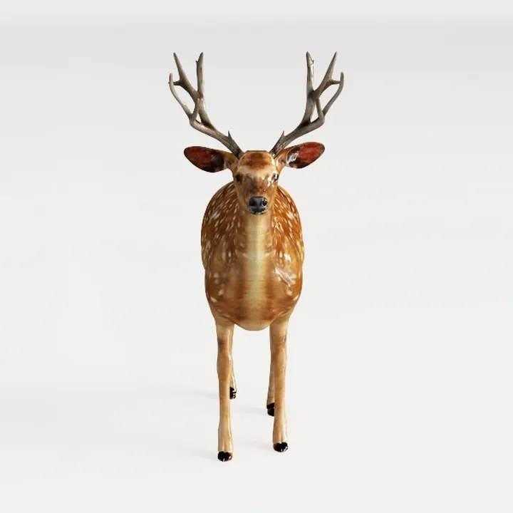 elk-Wild Kingdom