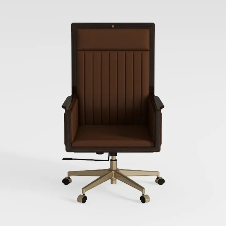 FMURY Chair Home Desk Chair Study Desk Chair Writi