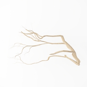 ornament-Modern Farmhouse