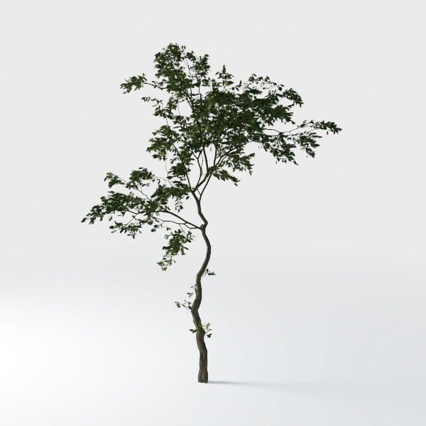 playful time-decoration 56.max