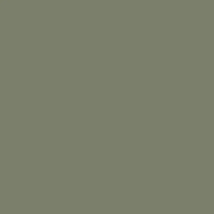 Plain_8