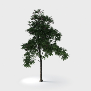 Open-air Cafe-plants 7.max