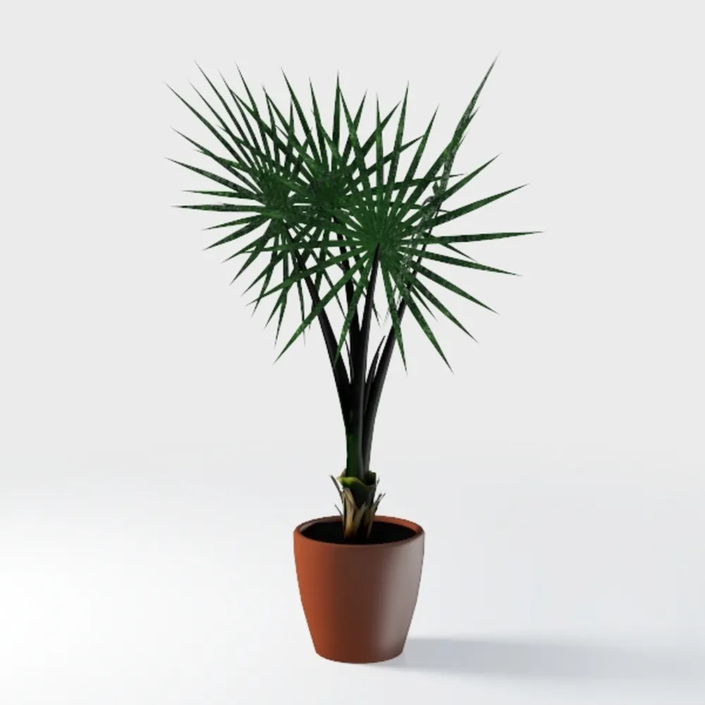 D'vine Dev Terracotta Pots for Plants, 4.2 Inch 5