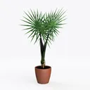 D'vine Dev Terracotta Pots for Plants, 4.2 Inch 5 Left 45 Degree View