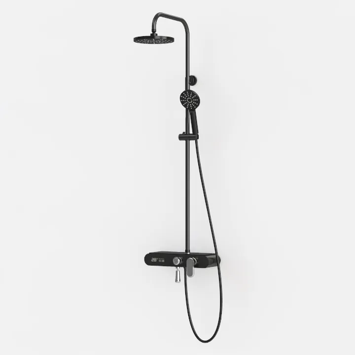 Black Metal Dual Spray Bathroom Shower System 3D Model