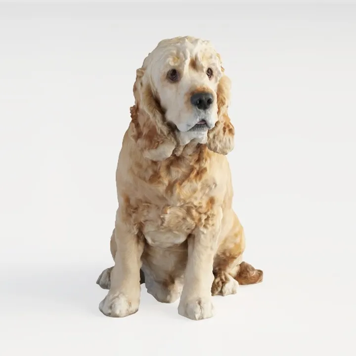 pet dog -Pet Kit