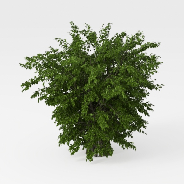 Nearly Natural 40IN Artificial Boston Fern Large H