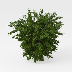 Nearly Natural 40IN Artificial Boston Fern Large H
