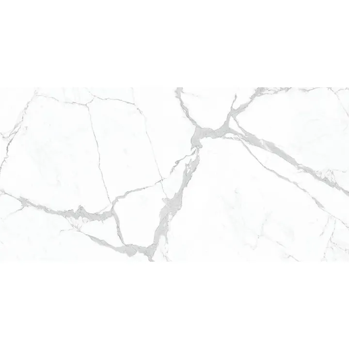 Wall and Floor Brick_1175