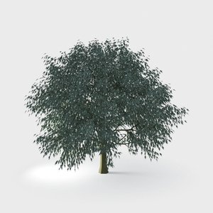 Open-air Cafe-plants 6.max