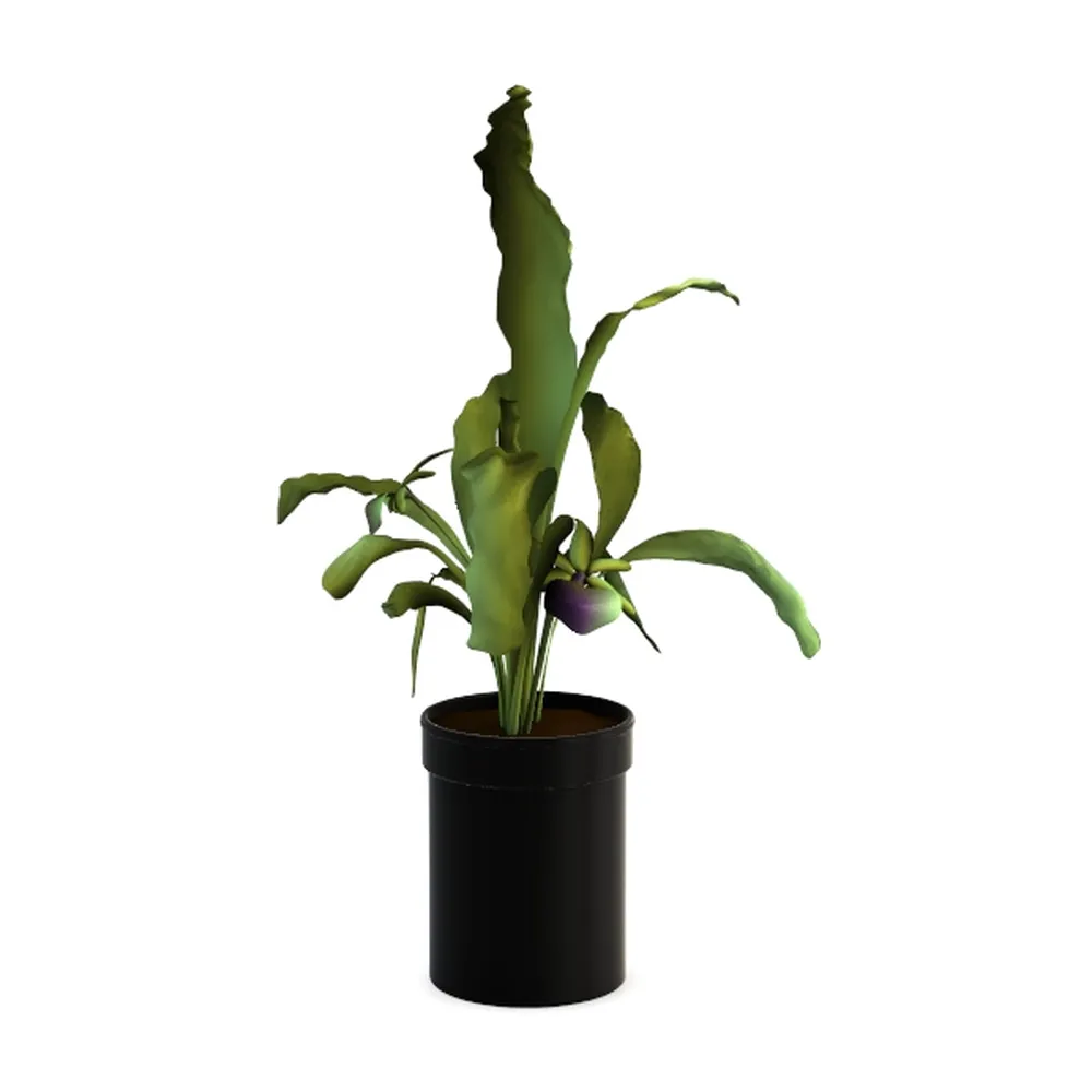 Artificial Palm Tree 5FT - Faux Plant with Black