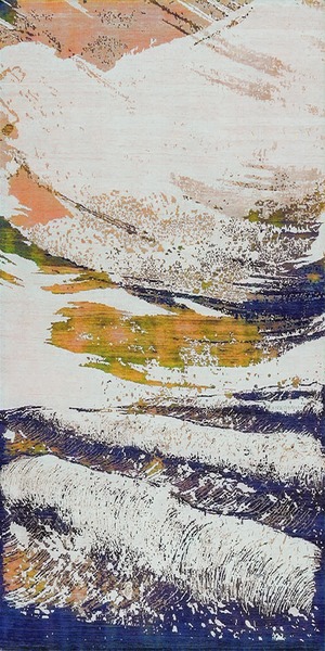 Wall-to-wall Carpet 496