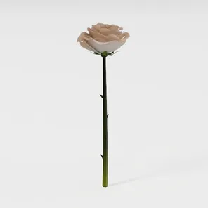 model review img 1