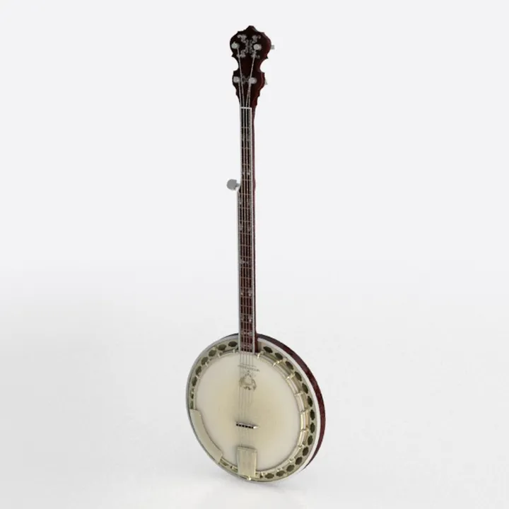Musical Instrument 318