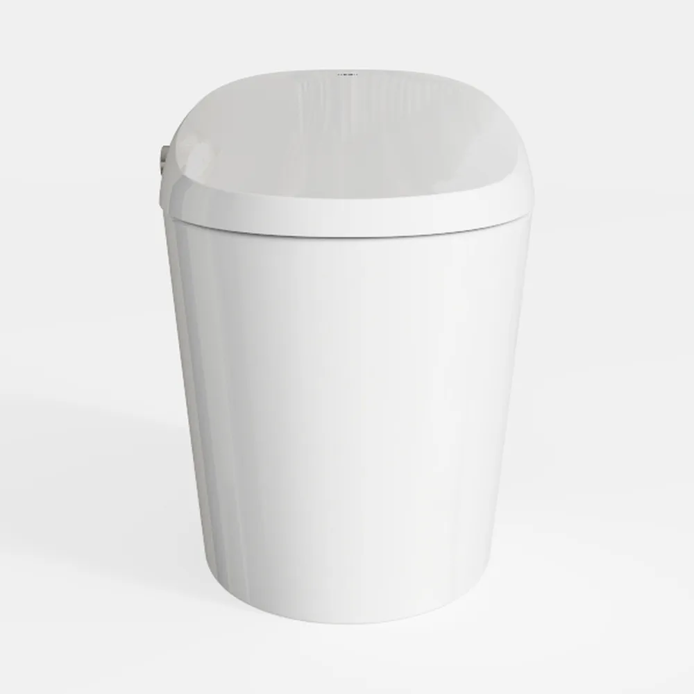 Casta Diva Smart Toilet with Bidet Built in, Smart