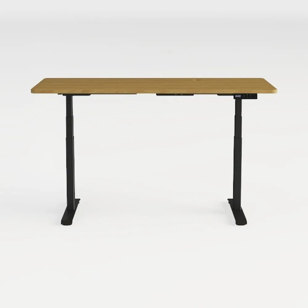 FLEXISPOT EN1 Whole-Piece Standing Desk 48 x 24